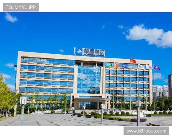 凯发K8.com官方平台最新安全保障措施全面解析助你轻松畅玩 凯发K8.com官方平台最新安全保障措施全面解析助你轻松畅玩