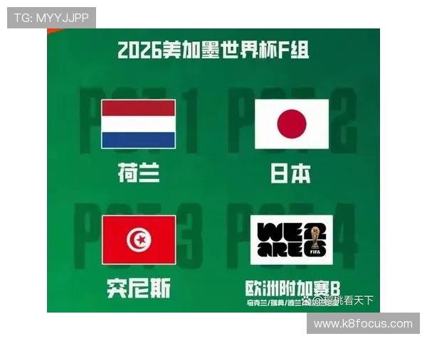 2026年世界杯美加墨赛区荷兰与瑞典队的晋级前景与挑战